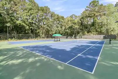 4066 Blackmoor Street, Mount Pleasant, SC 29466 - Photo 77