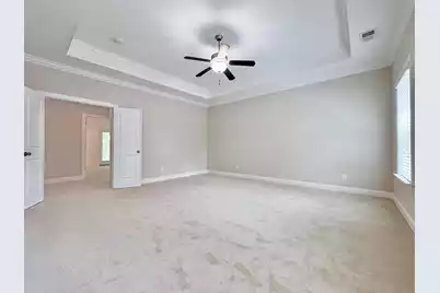 4066 Blackmoor Street, Mount Pleasant, SC 29466 - Photo 31
