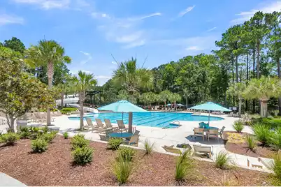 4066 Blackmoor Street, Mount Pleasant, SC 29466 - Photo 69