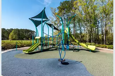 401 Painted Lady Lane, Goose Creek, SC 29445 - Photo 43