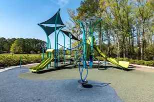 401 Painted Lady Ln, Goose Creek, SC 29445 - Photo 43