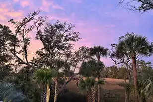 473 Lesesne St, Charleston, SC 29492 - Photo 49