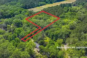 0 Steamboat Landing Rd, Edisto Island, SC 29438 - Photo 13