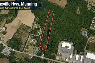 0 Paxville Hwy, Manning, SC 29102 - Photo 1