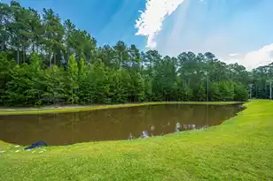 2017 Bridlewood Farms Pkwy, Ridgeville, SC 29472 - Photo 47