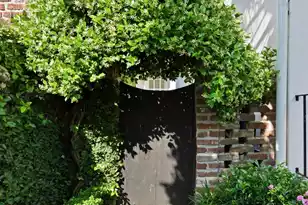 15 Price's Alley, Charleston, SC 29401 - Photo 27