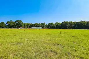 164 Haymakers Ln, Walterboro, SC 29488 - Photo 17