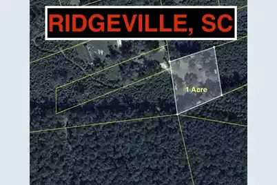 217 Joe Felder Road, Ridgeville, SC 29472 - Photo 1