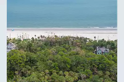 355 Pelican Flight Drive #Lot 29, Dewees Island, SC 29451 - Photo 11