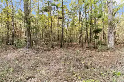 107 Weir Street, Summerville, SC 29483 - Photo 5