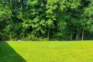 103 Salem Creek Dr, Goose Creek, SC 29445 - Photo 3