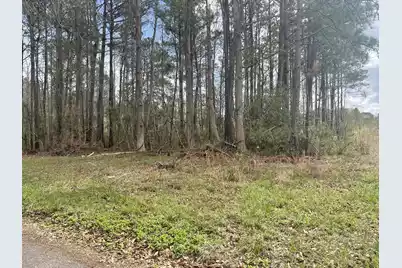 None Yet Forest Drive, Hemingway, SC 29554 - Photo 3