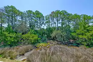 4147 Victory Pointe Dr, Mount Pleasant, SC 29466 - Photo 43