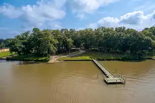 2133 Princess Pond Rd, Summerton, SC 29148 - Photo 7