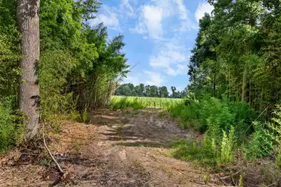 126 Roquemore Drive, Orangeburg, SC 29115 - Photo 41