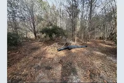 1547D Pine Valley Drive, Elgin, SC 29045 - Photo 3
