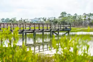 168 Nobels Point St, Charleston, SC 29492 - Photo 103
