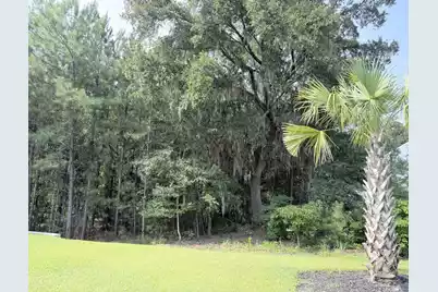 8020 Cheverie Court, Johns Island, SC 29455 - Photo 3
