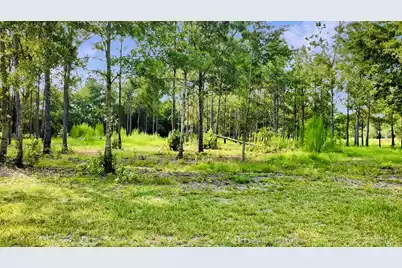 1 Grannys Lane, Saint George, SC 29477 - Photo 3