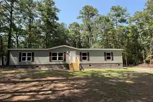 1323 Pleasure Dr, Summerton, SC 29148 - Photo 3