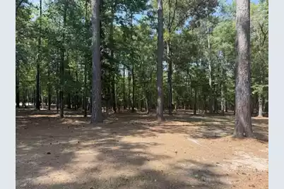 1323 Pleasure Drive, Summerton, SC 29148 - Photo 5