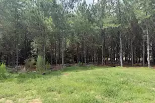 187 Tiny LN, Smoaks, SC 29481 - Photo 19