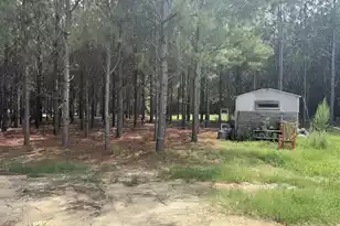 187 Tiny LN, Smoaks, SC 29481 - Photo 5