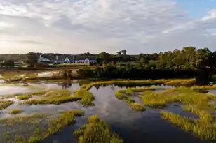 321 Bayley Rd, Daniel Island, SC 29492 - Photo 87