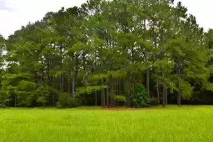 0 Palmetto Ave, Saint Stephen, SC 29479 - Photo 1