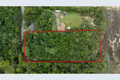 1638 Evelina Street, Mount Pleasant, SC 29464 - Photo 3