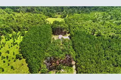 154 Beejay Lane, Cross, SC 29436 - Photo 41