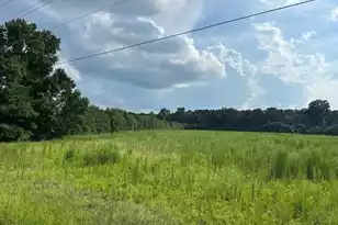 Lot 5 7 Mile Rd, Harleyville, SC 29448 - Photo 1