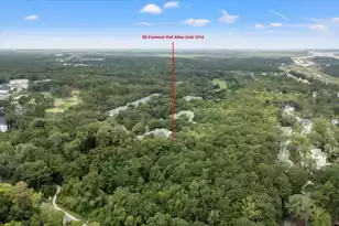 60 Fenwick Hall Allee, Johns Island, SC 29455 - Photo 55
