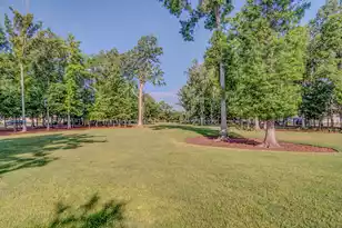 2862 Rutherford Way, Charleston, SC 29414 - Photo 49