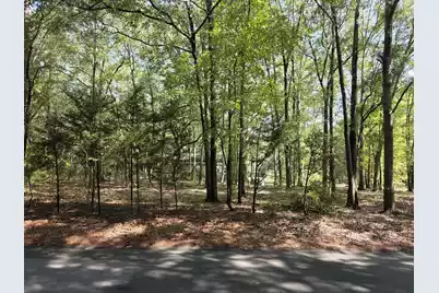 129 Knott Drive, Eutawville, SC 29048 - Photo 5