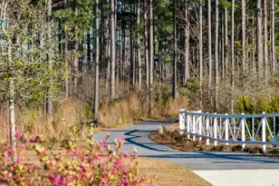 283 Ivory Shadow Rd, Summerville, SC 29486 - Photo 57