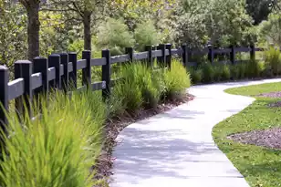 432 Swaying Pne Ln, Summerville, SC 29486 - Photo 21