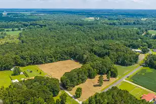 239 Belfast Ave, Holly Hill, SC 29059 - Photo 59