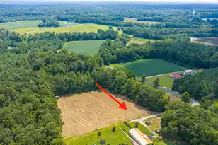 239 Belfast Ave, Holly Hill, SC 29059 - Photo 65