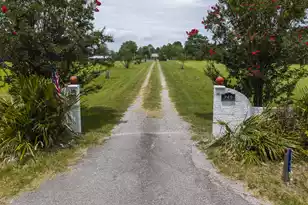 940 Old Sandy Run Rd, Sandy Run, SC 29053 - Photo 1