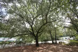 206 Poplar Branch Dr W, Moncks Corner, SC 29461 - Photo 3