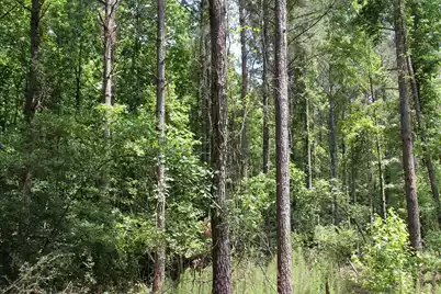 0 North Road, Orangeburg, SC 29118 - Photo 5