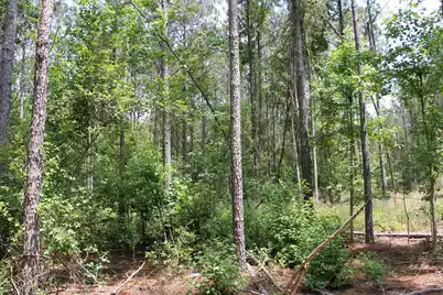 0 North Road, Orangeburg, SC 29118 - Photo 7