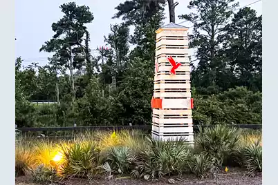 357 Garden Lily Lane, Summerville, SC 29485 - Photo 53