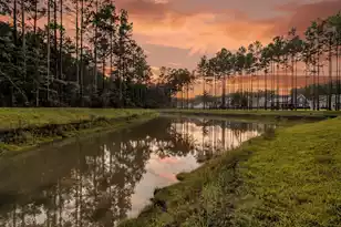 405 Henry Joseph Way, Huger, SC 29450 - Photo 59