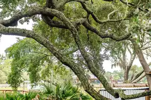 1670 Hunley Ave, Charleston, SC 29412 - Photo 67