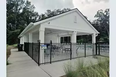 217 Gazania Way, Charleston, SC 29414 - Photo 53