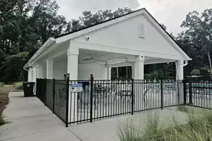 217 Gazania Way, Charleston, SC 29414 - Photo 53