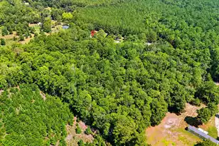 315 Tundra Ln, Ridgeville, SC 29472 - Photo 3