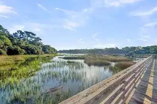 1054 Anna Knapp Blvd, Mount Pleasant, SC 29464 - Photo 7